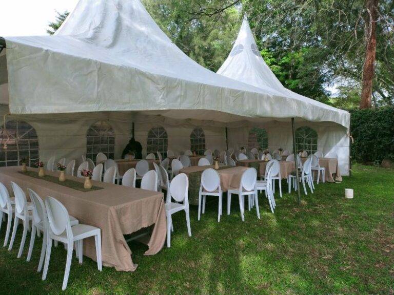 Read more about the article How to Choose the Best Party Decor and Supplies in Kenya