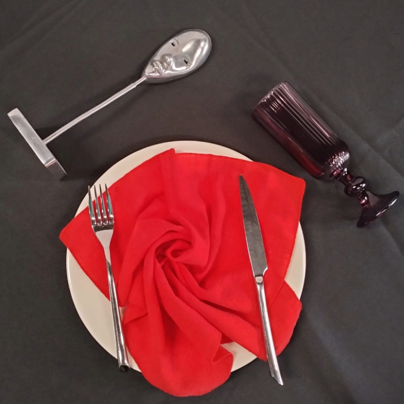 Hire Red Napkin from Lucidity Africa Events