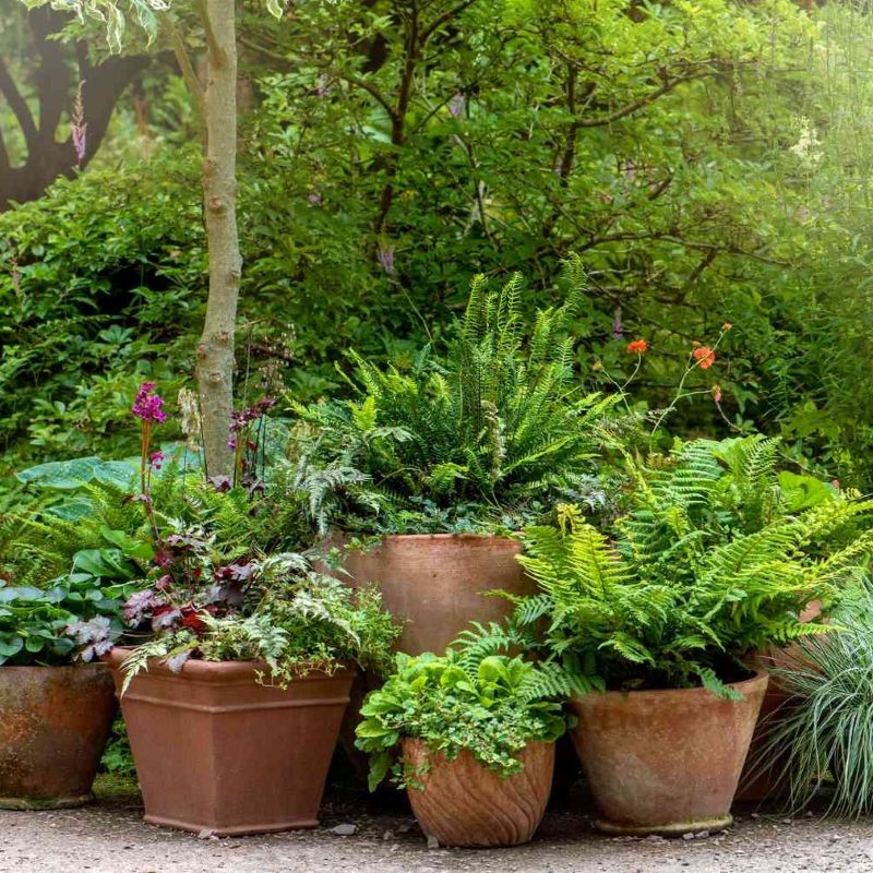 Hire Botanical Decor from Lucidity Africa Events Kenya